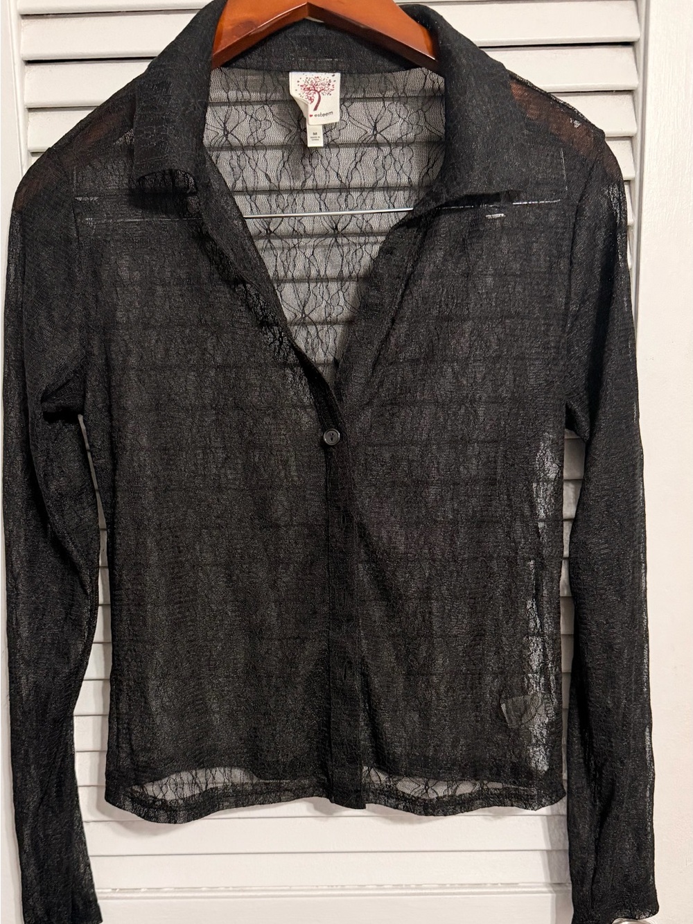 Self Esteem Sheer Black Mesh Button-Up Top